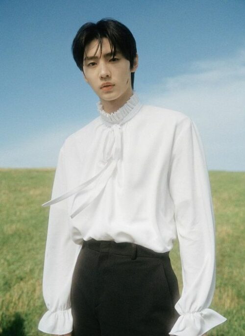 White Pleated Collar Long Sleeve Blouse | Sunghoon - Enhypen