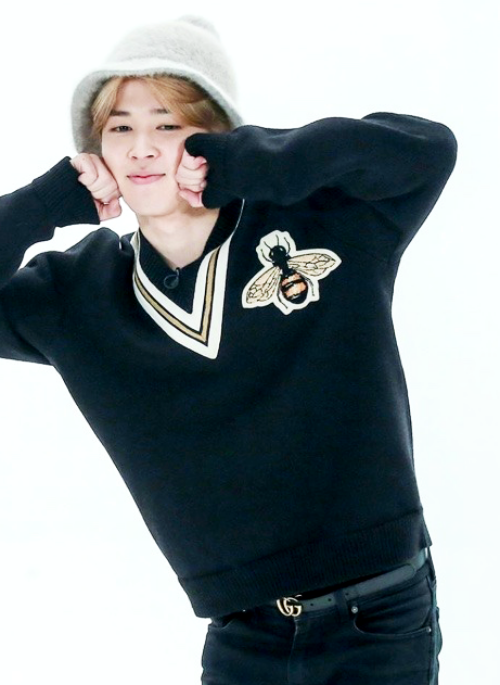 Black Bee Embroidered V-Neck Sweater | Jimin - BTS