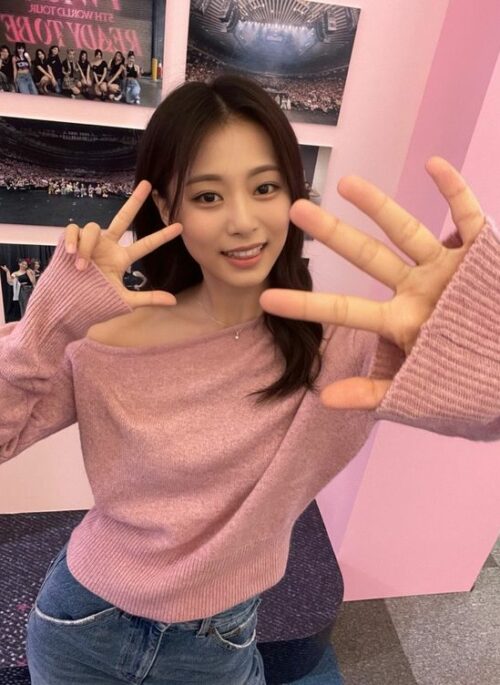 Pink One Off Shoulder Knit Sweater | Tzuyu - Twice