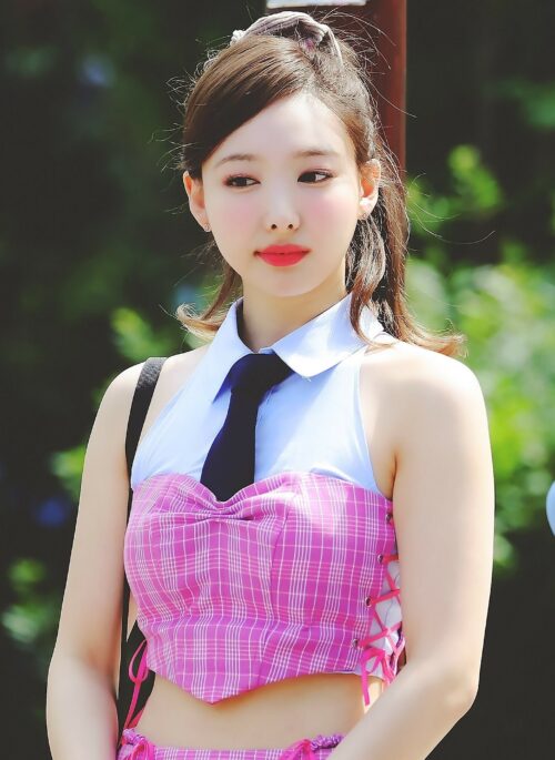 Pink Plaid Layered Crop Top | Nayeon – TWICE