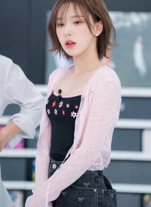 Pink Tie-Front Sheer Cardigan | Wendy - Red Velvet