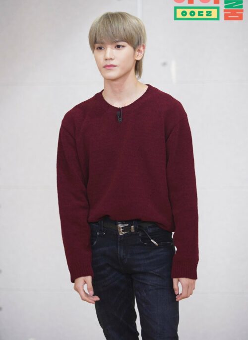 Red Crewneck Knit Sweater | Taeyong - NCT