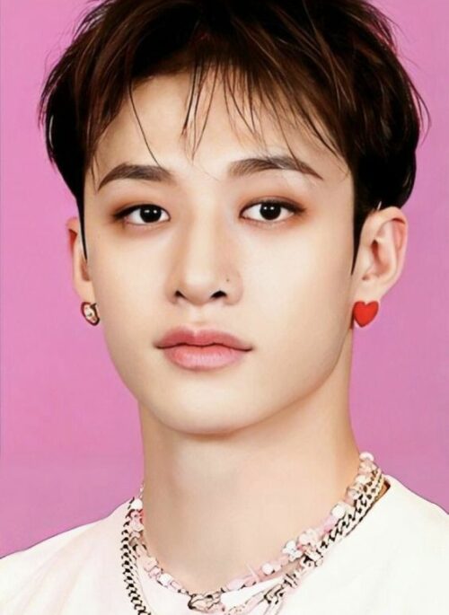 Red Heart Shape Earrings | Bang Chan - Stray Kids