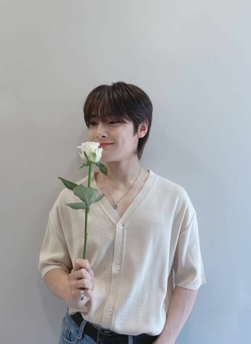 Beige Short Sleeves V-Neck Shirt | Jeongin - Stray Kids