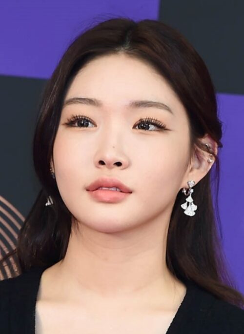 Silver Fan-Shaped Drop Earrings | Chung Ha