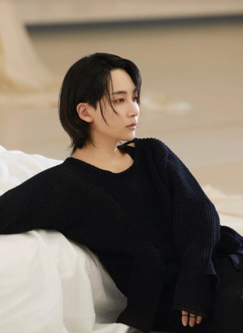 Grey Textured V-Neck Sweater | Jeonghan - Seventeen