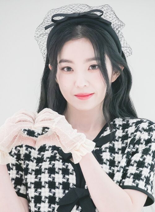 Black Classic Net Bow Headband | Irene - Red Velvet