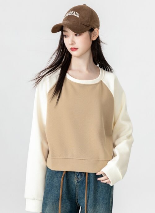 Color Block Raglan Sleeve Sweatshirt