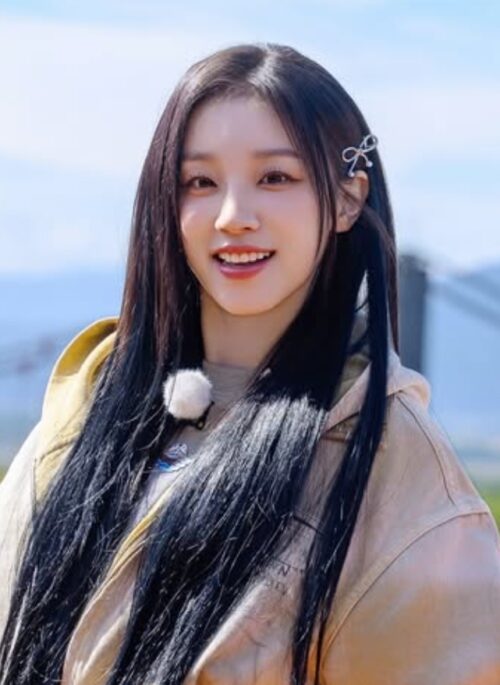 Silver Bow With Pearl Accent Hairpin | Yuqi - (G)I-DLE